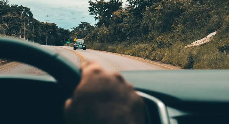 Ehliyet Sonuç Sorgula